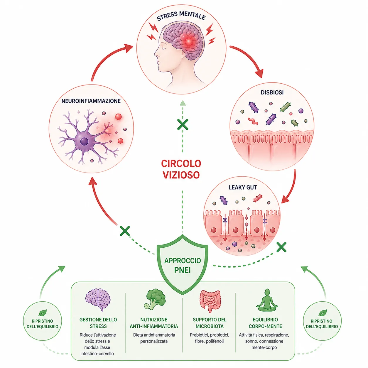 Il circolo vizioso stress–disbiosi–leaky gut–neuroinfiammazione con al centro l’approccio PNEI che lo spezza: gestione dello stress, nutrizione anti-infiammatoria, supporto del microbiota ed equilibrio corpo-mente