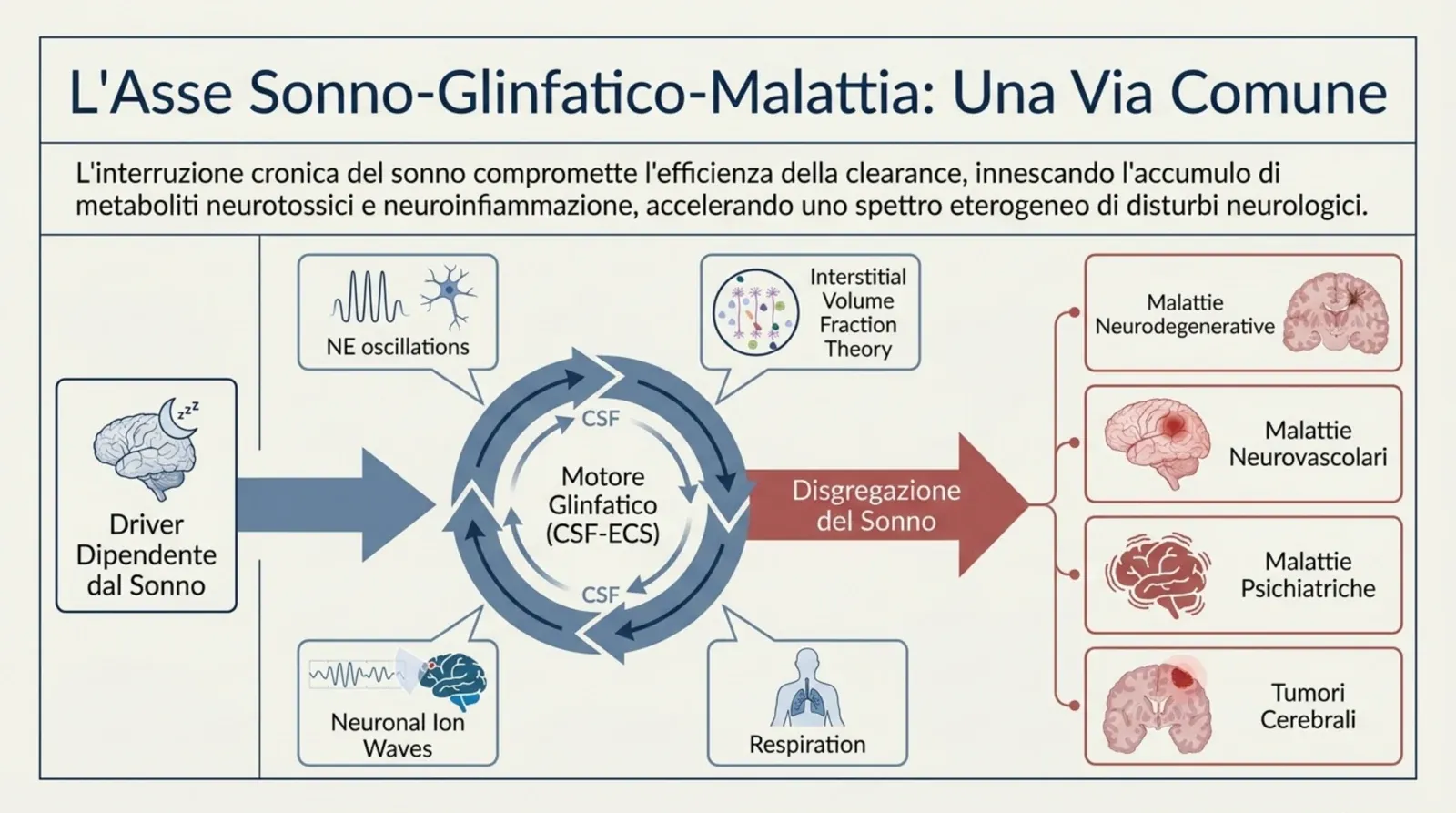 L’asse sonno-glinfatico-malattia: la disgregazione del sonno compromette il motore glinfatico e apre la strada a malattie neurodegenerative, neurovascolari, psichiatriche e ai tumori cerebrali