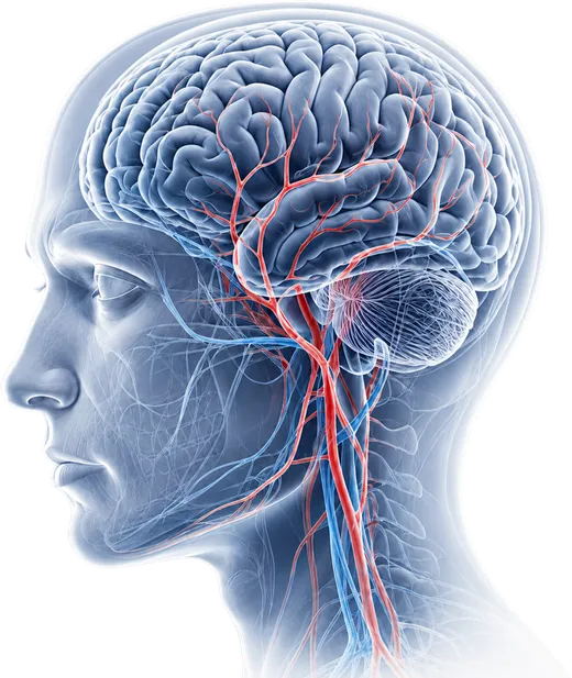 Illustrazione di una testa con il cervello: le emicranie