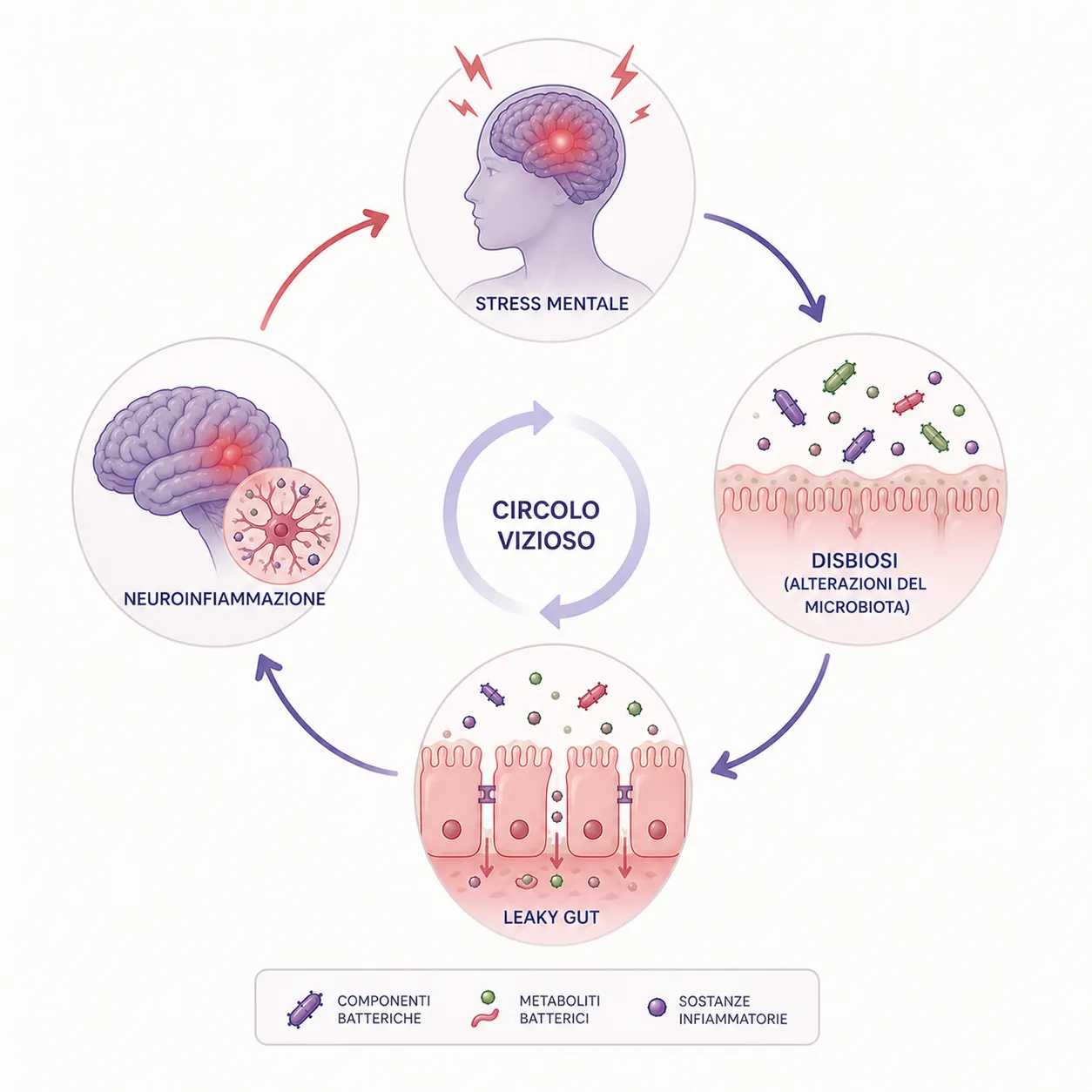 Il circolo vizioso tra stress mentale, disbiosi, leaky gut e neuroinfiammazione, rappresentato come un anello continuo