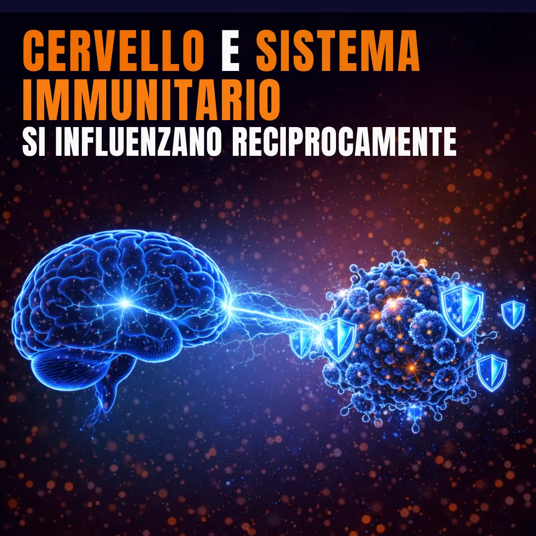 Un cervello e una cellula immunitaria uniti da un arco di energia, con la scritta «Cervello e sistema immunitario si influenzano reciprocamente»