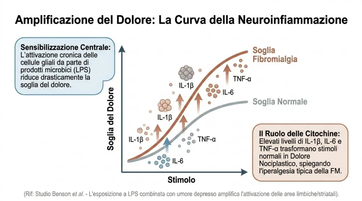 La curva della neuroinfiammazione: l’attivazione microgliale cronica indotta da prodotti microbici (LPS) e citochine (IL-1β, IL-6, TNF-α) abbassa la soglia del dolore, trasformando stimoli normali in dolore nociplastico