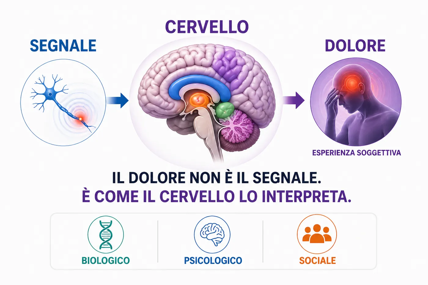 «Il dolore non è il segnale: è come il cervello lo interpreta», con i tre livelli biologico, psicologico e sociale