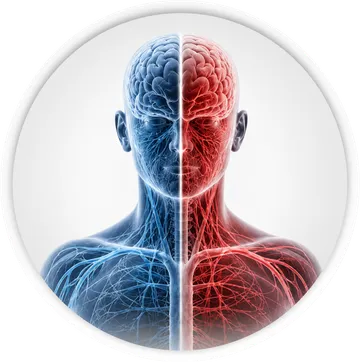 Corpo diviso in due metà: emicrania emiplegica, che coinvolge un solo lato