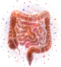 Intestino e microbiota
