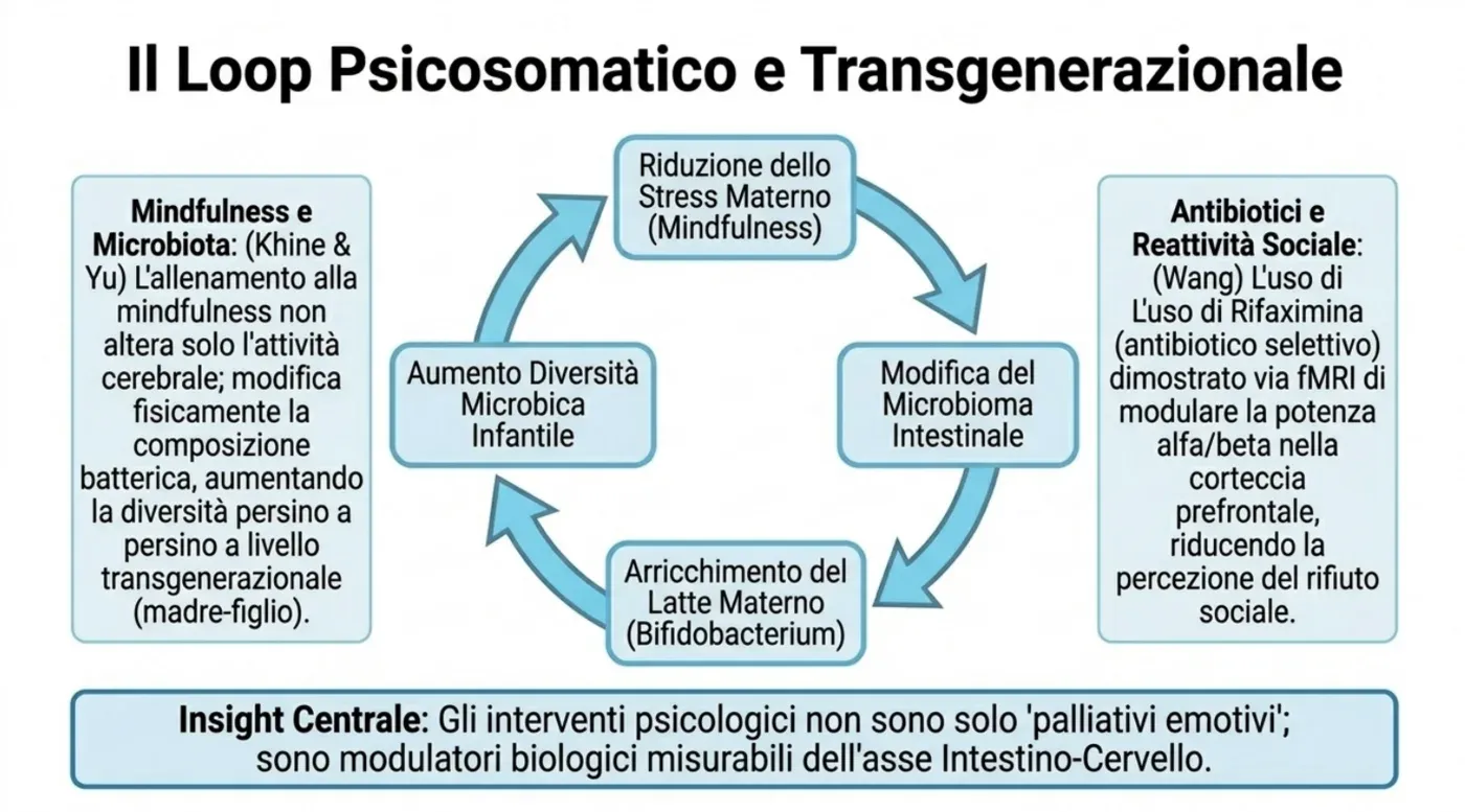 Il loop psicosomatico e transgenerazionale: mindfulness e riduzione dello stress modificano la composizione del microbiota e la reattività cerebrale; gli interventi psicologici agiscono come modulatori biologici misurabili dell’asse intestino-cervello