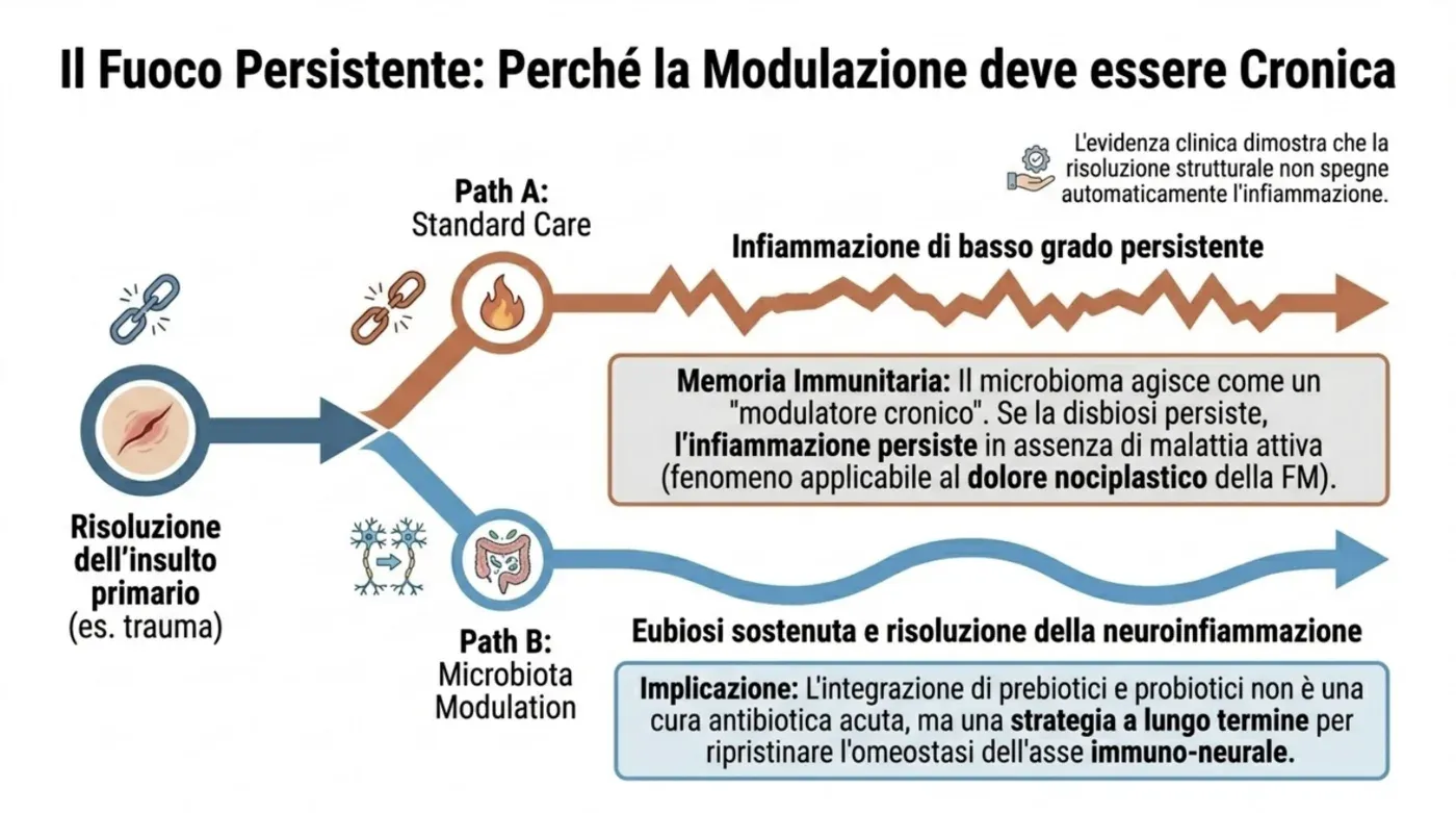 Il fuoco persistente: quando la disbiosi persiste, l’infiammazione di basso grado si mantiene anche in assenza di malattia attiva; la modulazione del microbiota va intesa come strategia cronica per ripristinare l’omeostasi dell’asse immuno-neurale