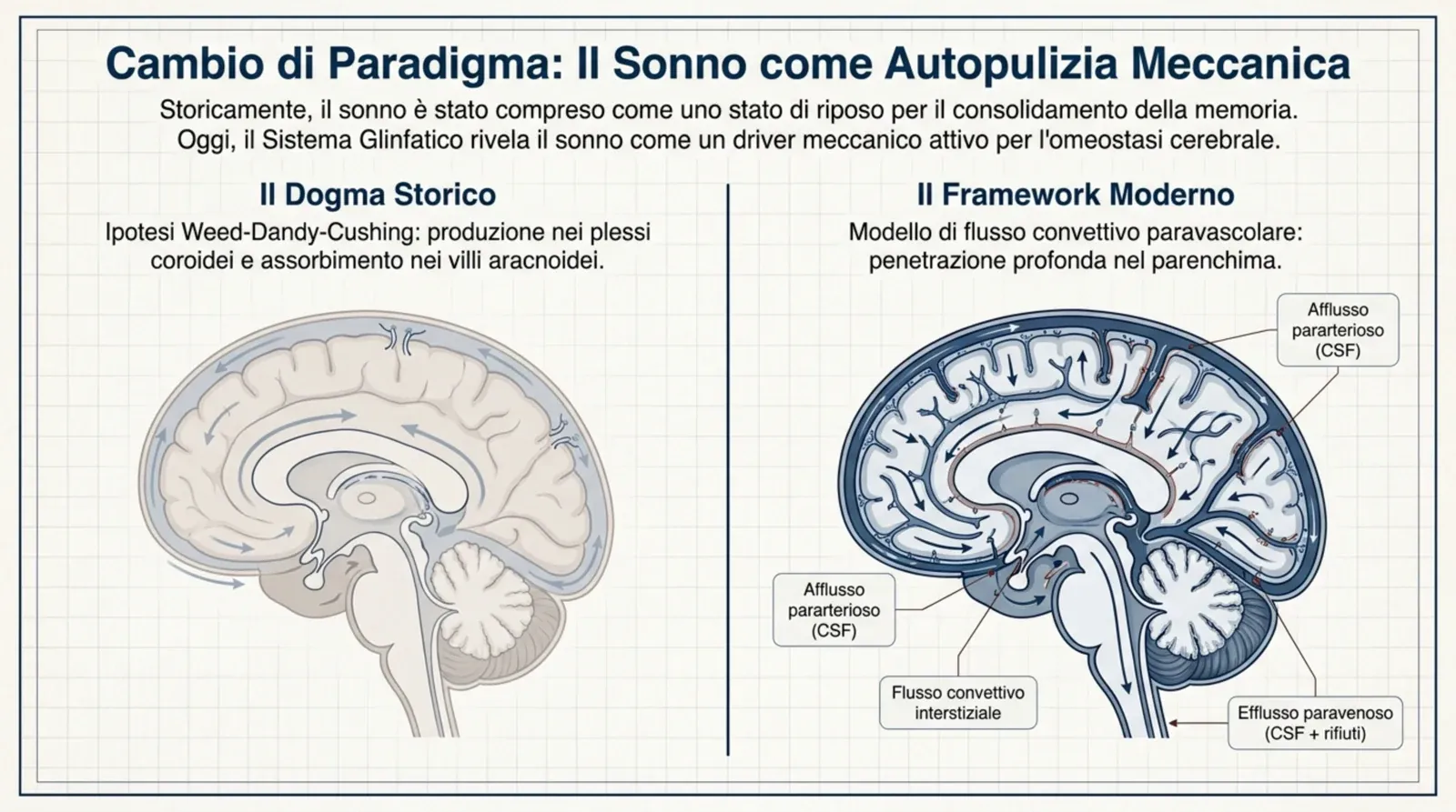 Il cambio di paradigma: dal modello passivo di Weed-Dandy-Cushing al flusso convettivo paravascolare che penetra in profondità nel parenchima