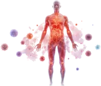 Sistema immunitario e infiammazione