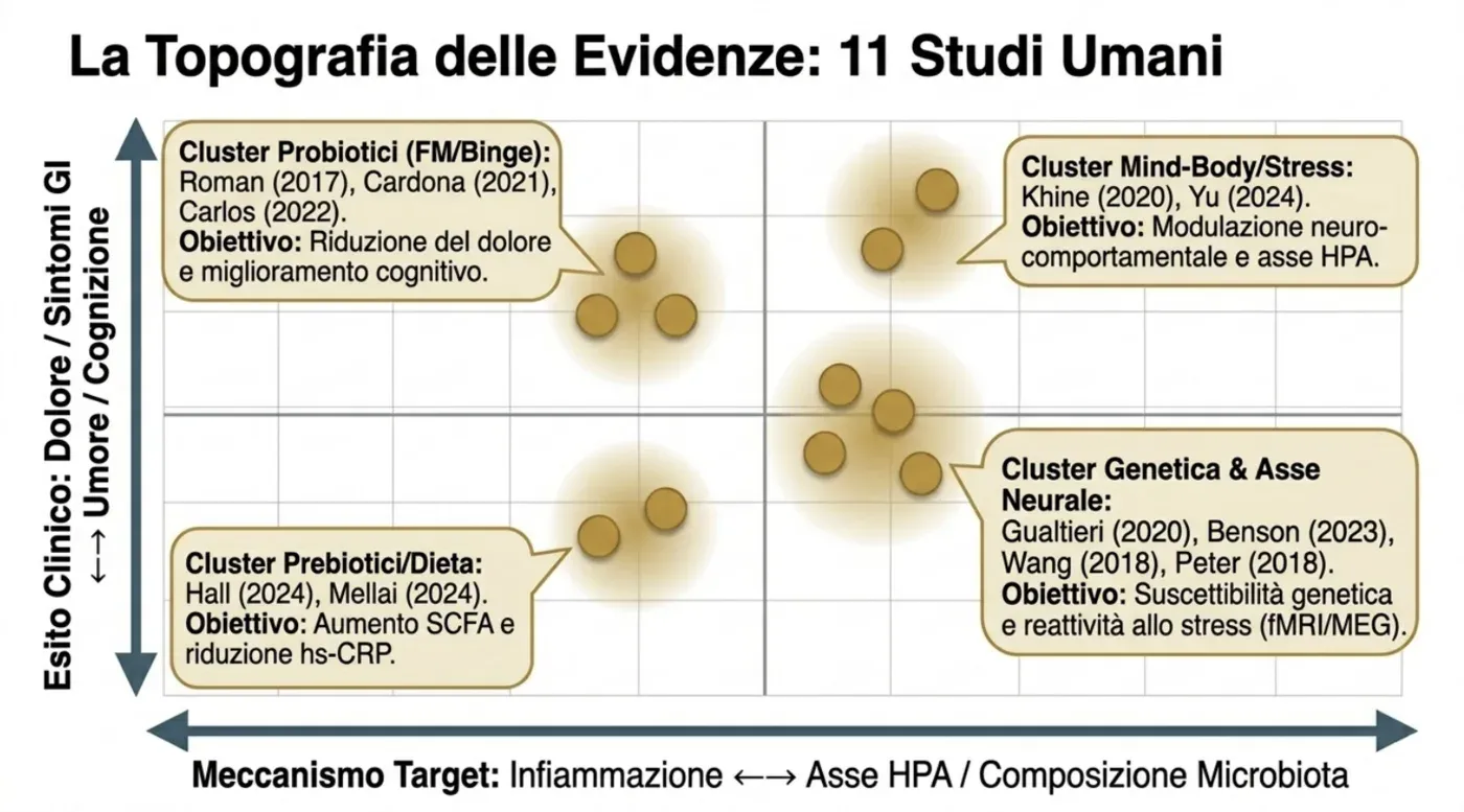 La topografia delle evidenze: i quattro cluster degli 11 studi umani — probiotici (Roman, Cardona, Carlos), mente-corpo/stress (Khine, Yu), prebiotici/dieta (Hall, Mellai) e genetica/asse neurale (Gualtieri, Benson, Wang, Peter)