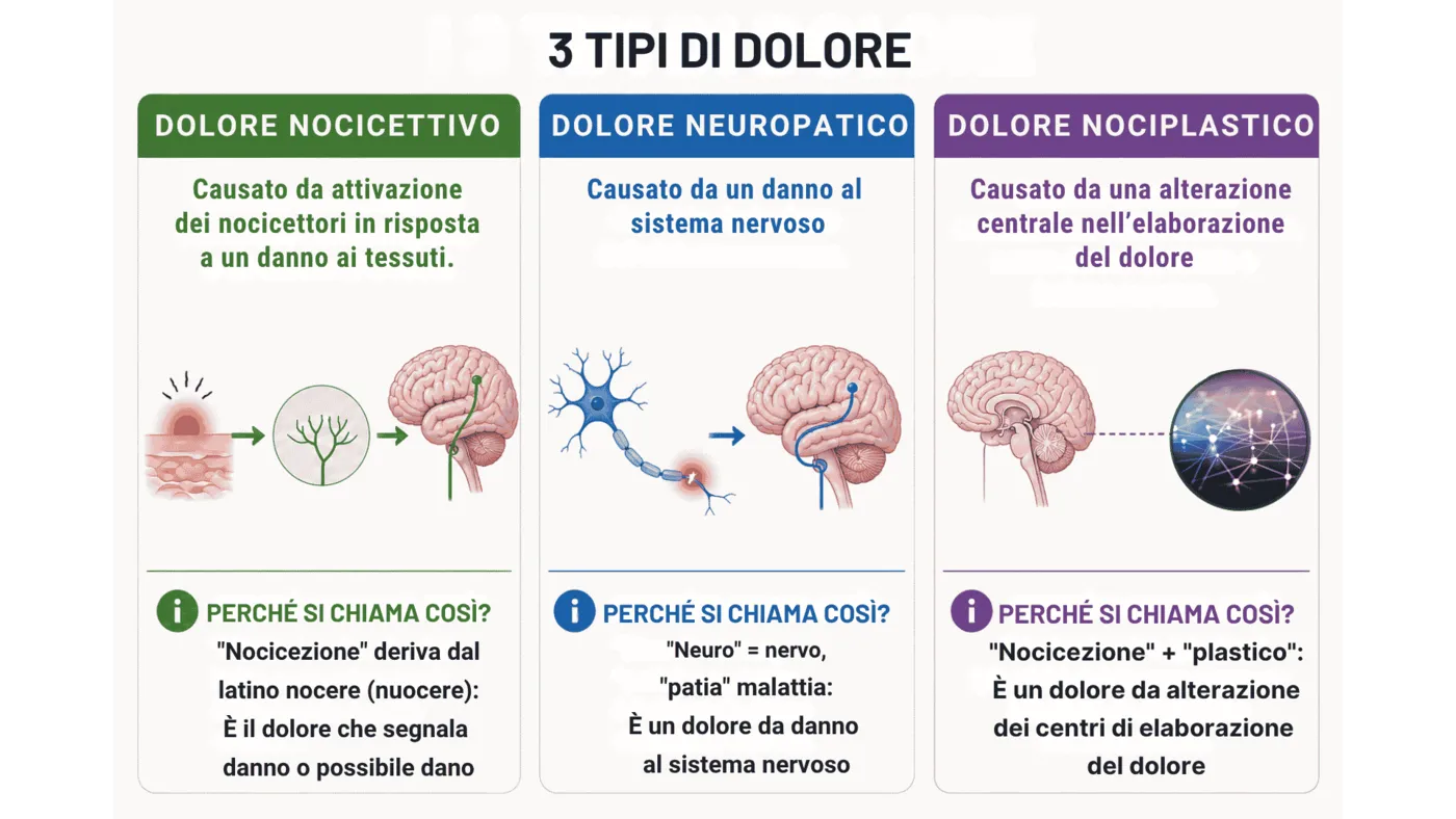 Le tre categorie di dolore a confronto: nocicettivo, neuropatico e nociplastico