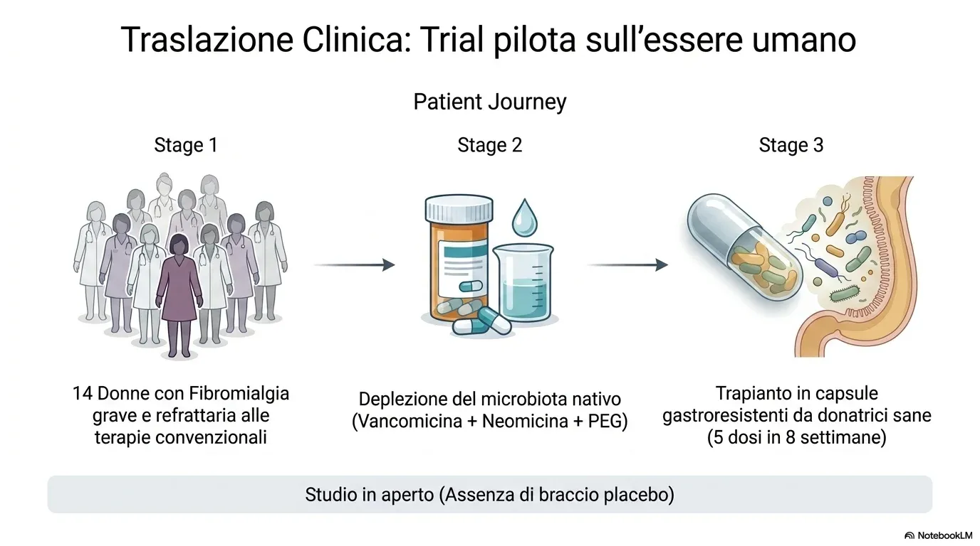 Traslazione clinica: il percorso della paziente in tre fasi — 14 donne con FM refrattaria, deplezione del microbiota nativo, trapianto in capsule gastroresistenti da donatrici sane; studio in aperto, senza braccio placebo